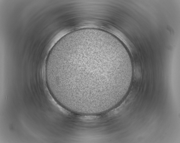 X0000111131290200907281043