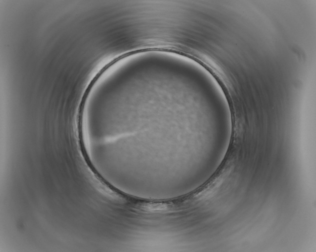 X0000111131291200907281043