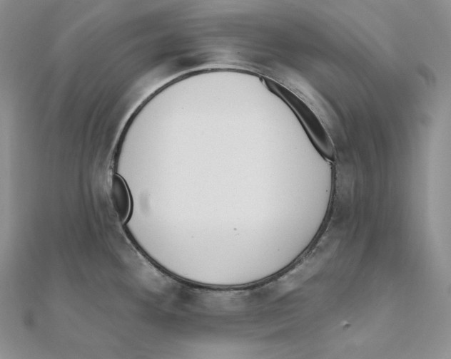 X0000111131292200907281043