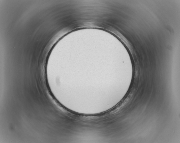 X0000111131293200907281043