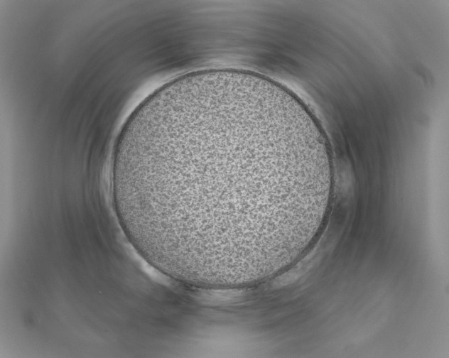 X0000111131294200907281043