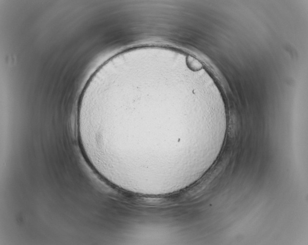 X0000111131295200907281043