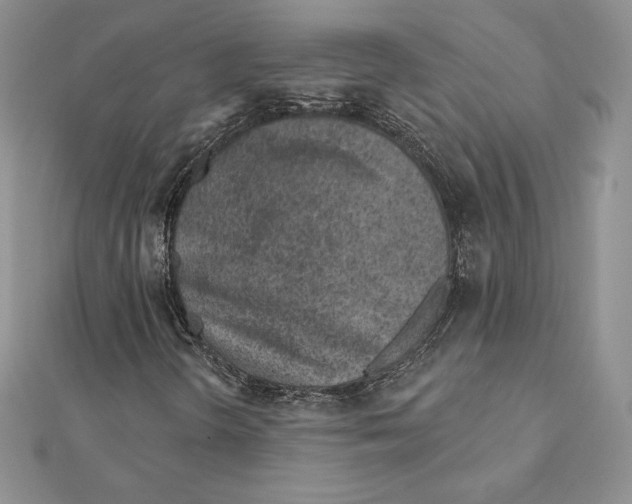 X0000111131298200907281042