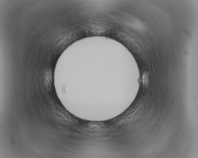 X0000111131299200907281042