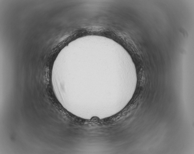 X0000111131301200907281042