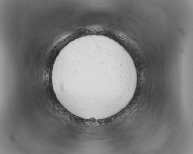 X0000111131302200907281042