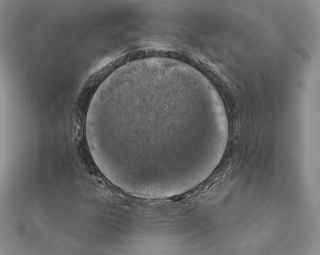 X0000111131303200907281042