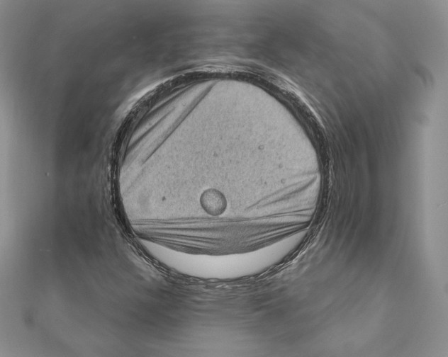 X0000111131304200907281042