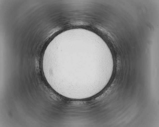 X0000111131305200907281042