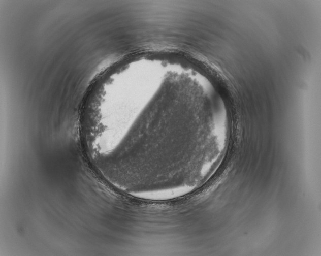 X0000111131306200907281042