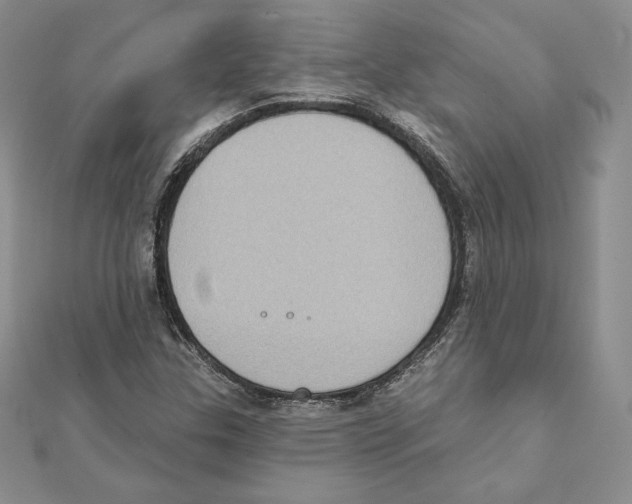 X0000111131307200907281042