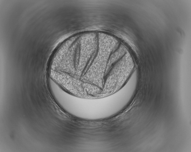 X0000111131308200907281042