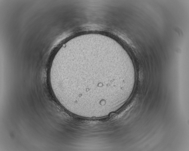 X0000111131309200907281042