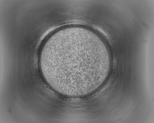 X0000111131310200907281042