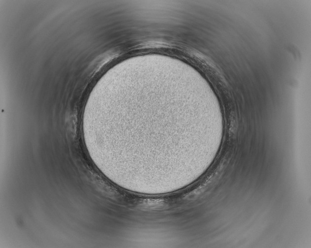 X0000111131313200907281042