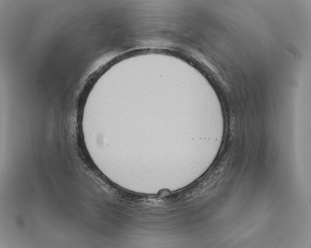 X0000111131315200907281042