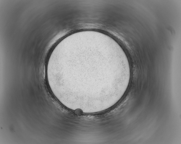 X0000111131317200907281042