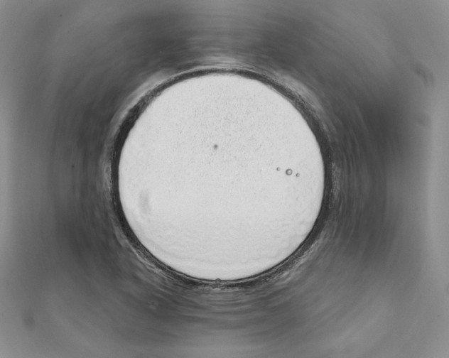 X0000111131318200907281042