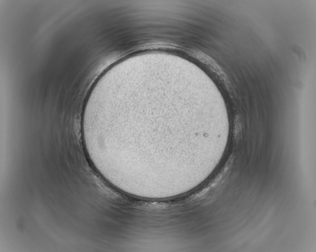 X0000111131321200907281042