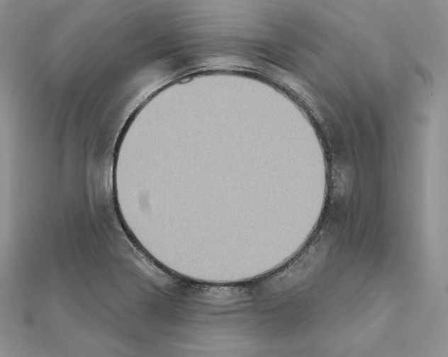 X0000111131322200907281042