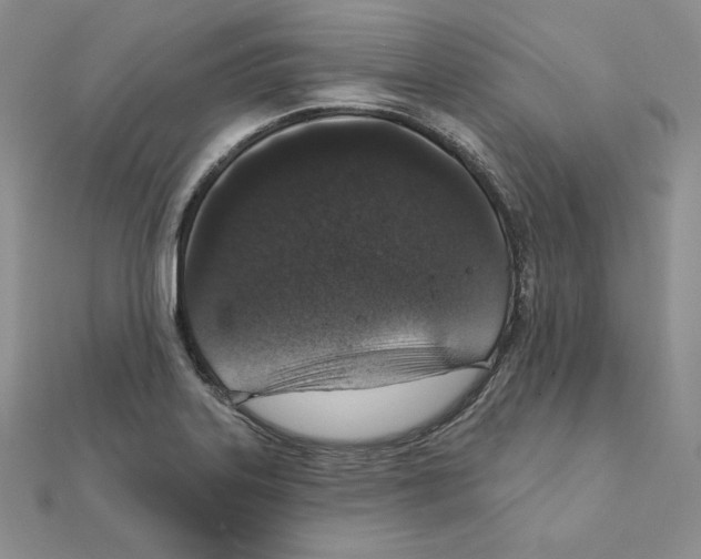 X0000111131323200907281042