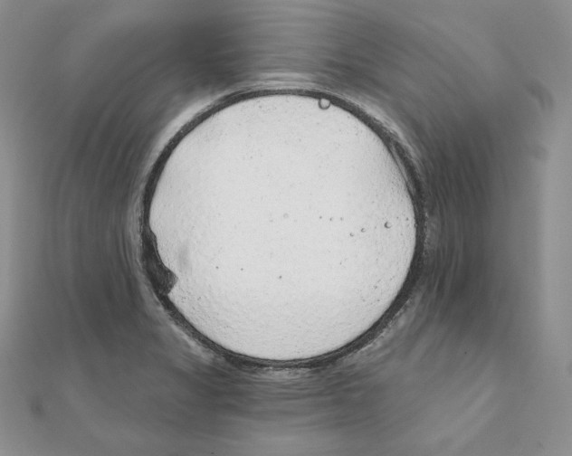 X0000111131325200907281042