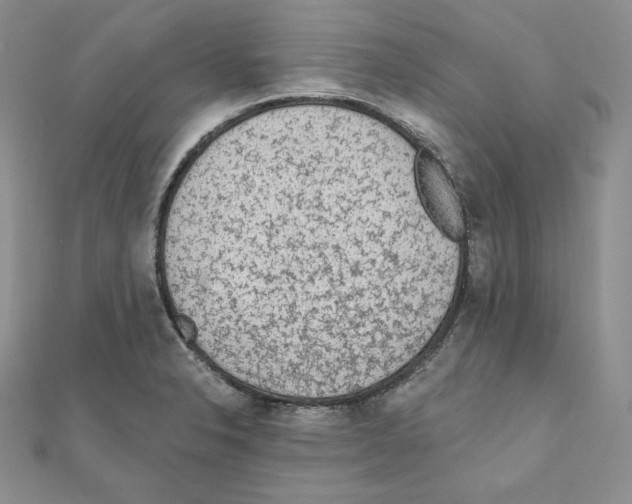 X0000111131326200907281042