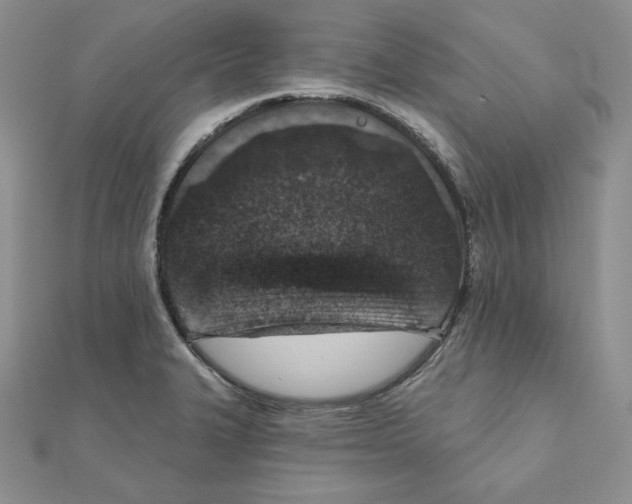 X0000111131327200907281042