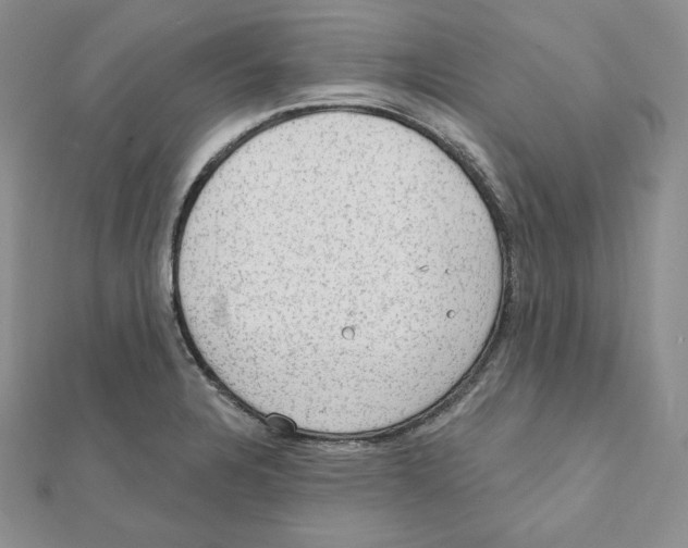 X0000111131328200907281042