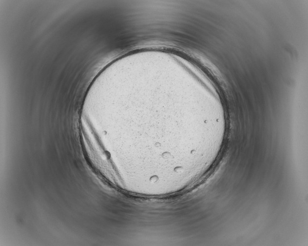 X0000111131329200907281042