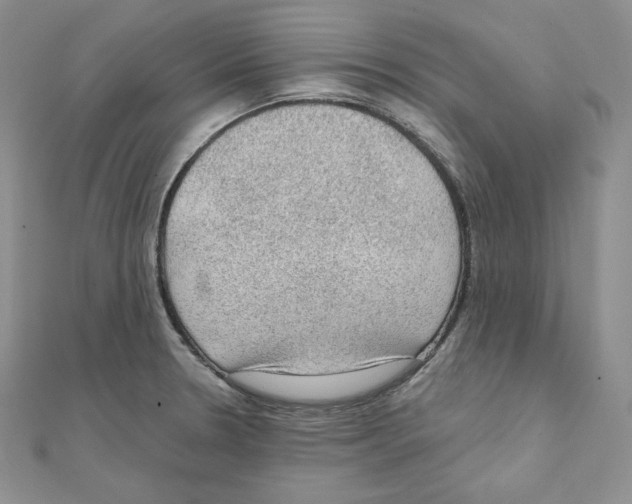 X0000111131330200907281042