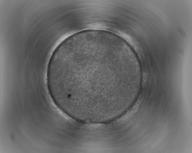 X0000111131331200907281042