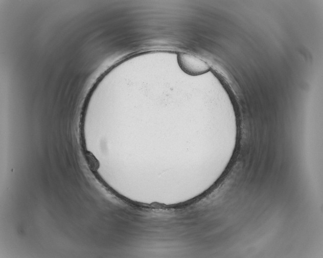 X0000111131333200907281042