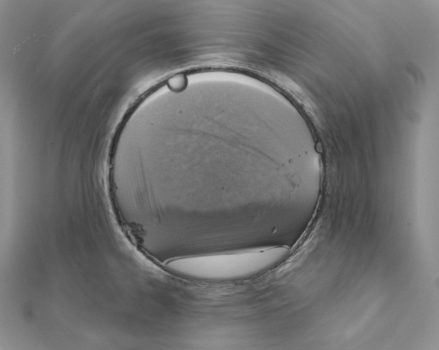 X0000111131334200907281042