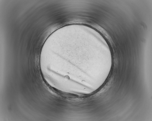 X0000111131337200907281042