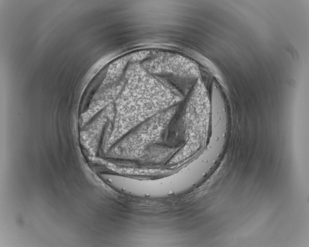 X0000111131338200907281042