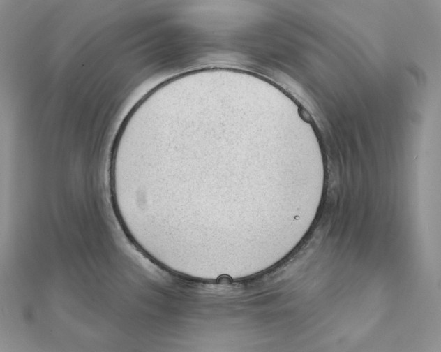 X0000111131339200907281042