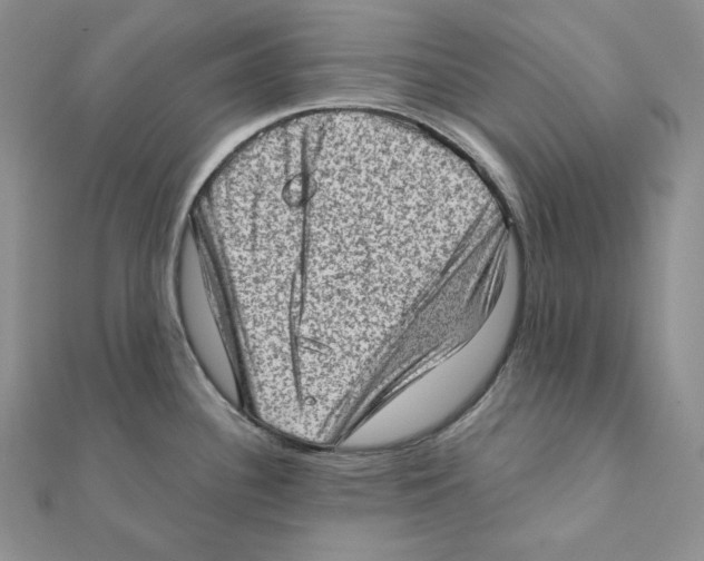 X0000111131340200907281042