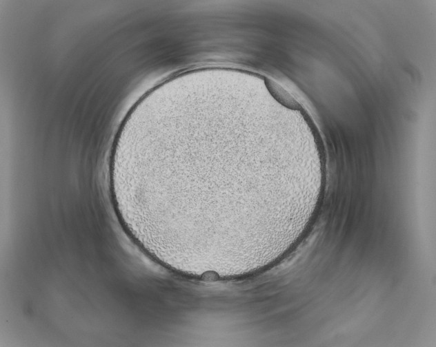 X0000111131341200907281042