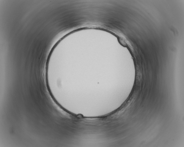 X0000111131343200907281042