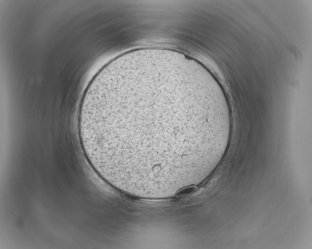 X0000111131344200907281043