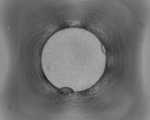 X0000111131345200907281042