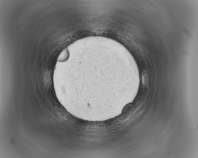 X0000111131347200907281042