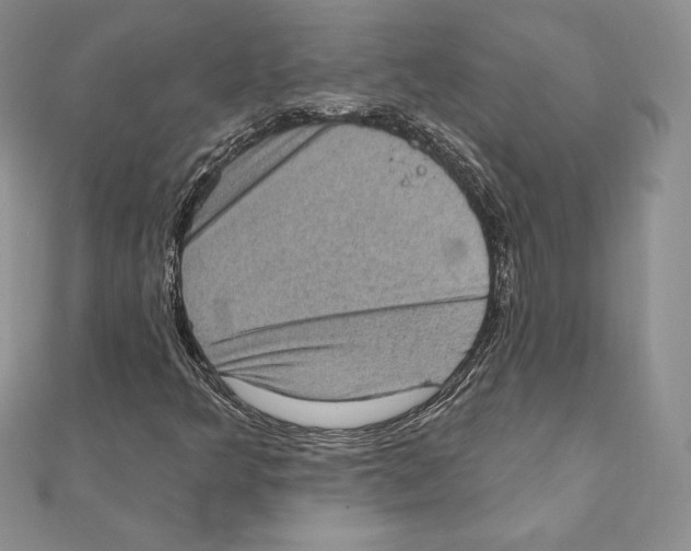 X0000111131349200907281042