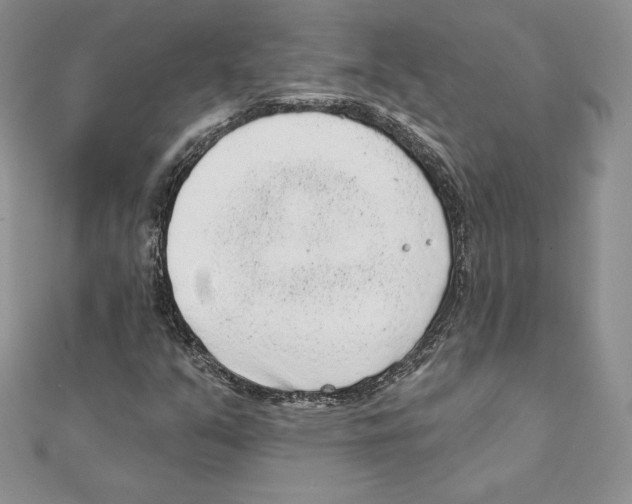 X0000111131351200907281042