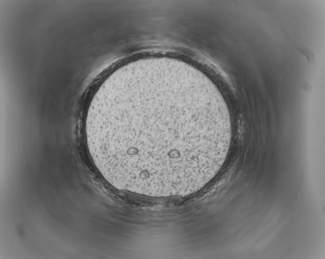 X0000111131352200907281042
