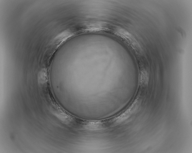 X0000111131353200907281042