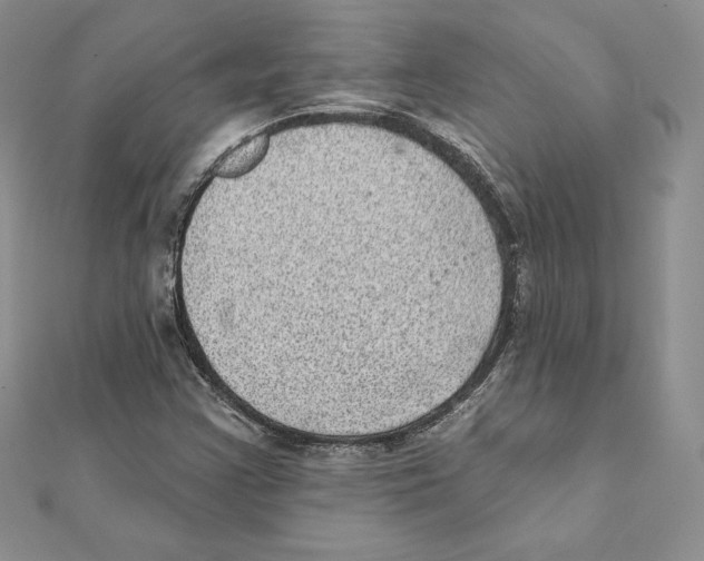 X0000111131355200907281042