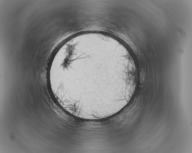 X0000111131356200907281042