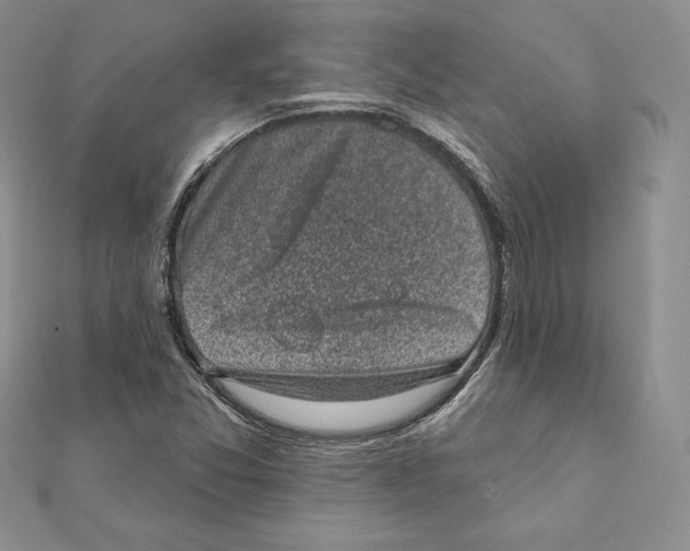 X0000111131357200907281042